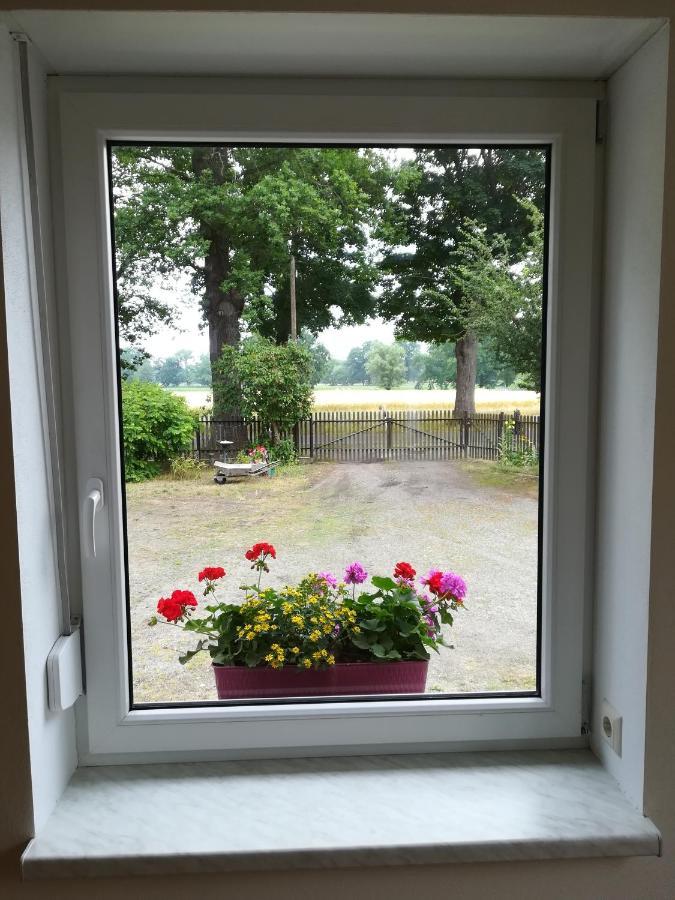 Ferienwohnung Bittner Klitten Exterior foto
